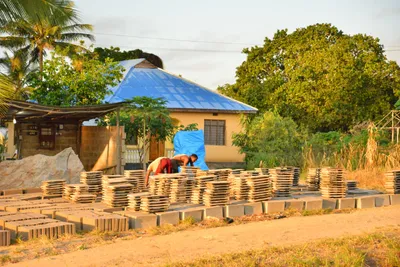 DSC_4287 (Large).JPG